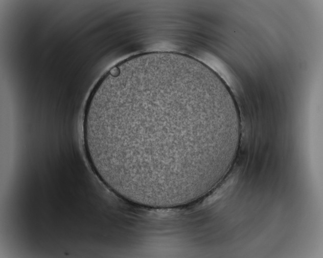 X0000094381000200711162127