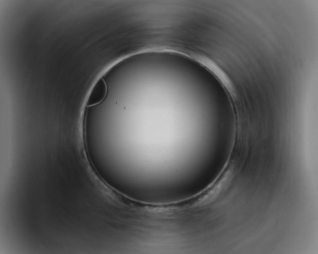 X0000094381004200711162127