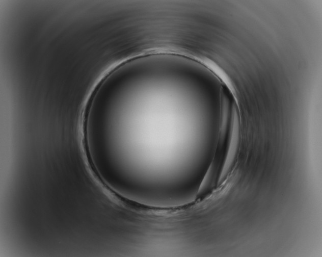 X0000094381005200711162127