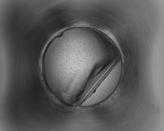X0000094381008200711162127