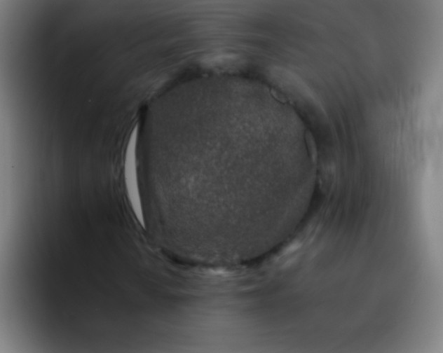 X0000094381010200711162126