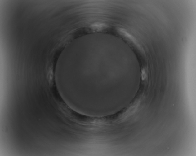 X0000094381011200711162126