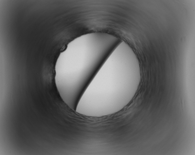 X0000094381012200711162126