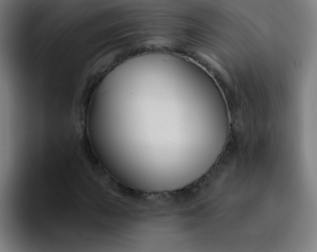X0000094381015200711162126