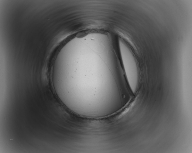 X0000094381018200711162126