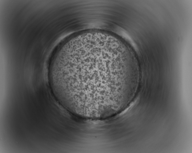 X0000094381019200711162126