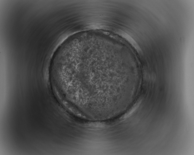 X0000094381023200711162126