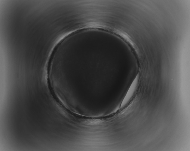 X0000094381024200711162126