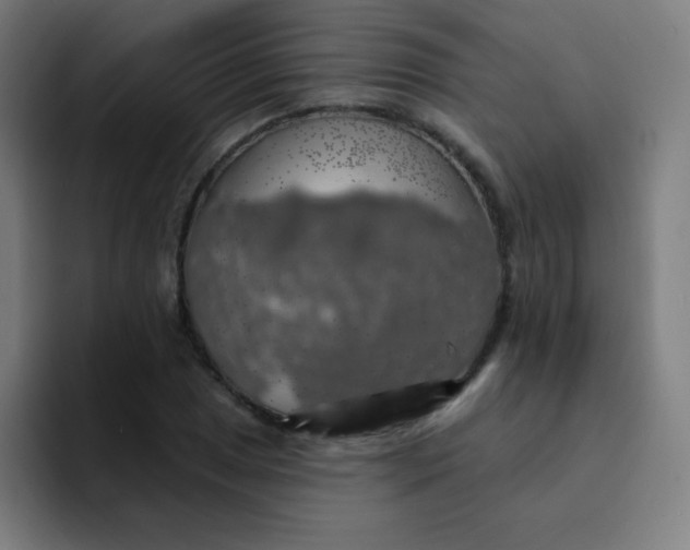 X0000094381025200711162126