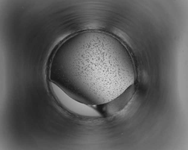 X0000094381026200711162126