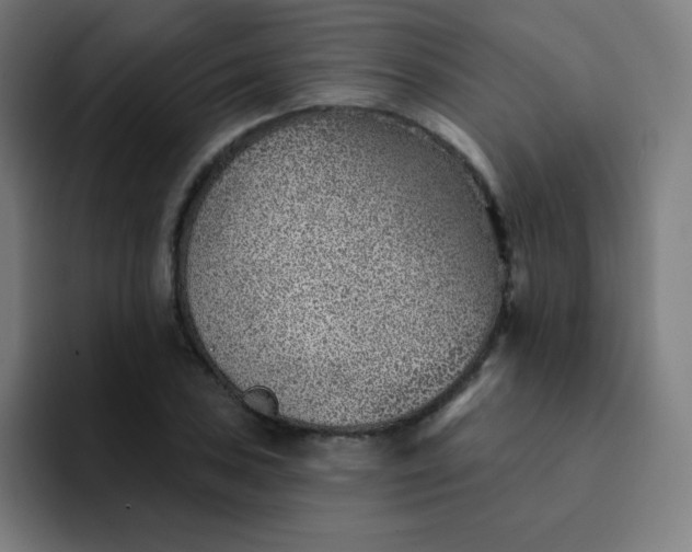 X0000094381027200711162126