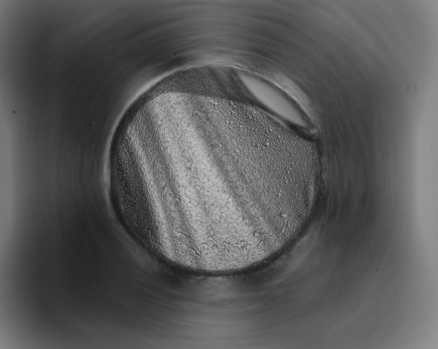 X0000094381028200711162126