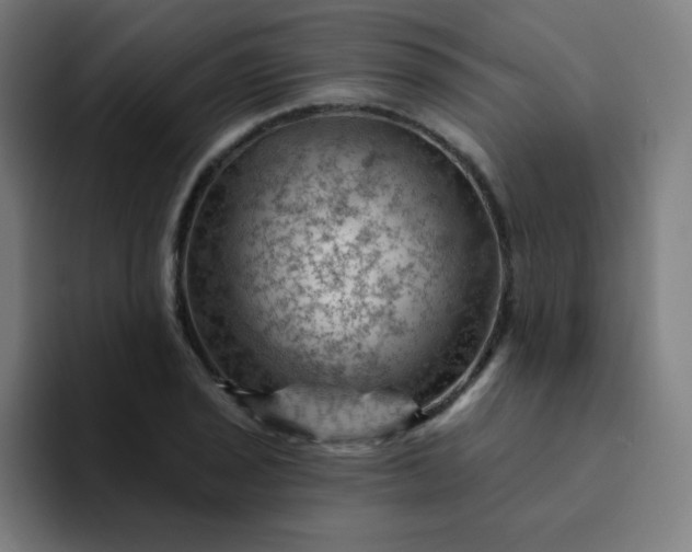 X0000094381029200711162126