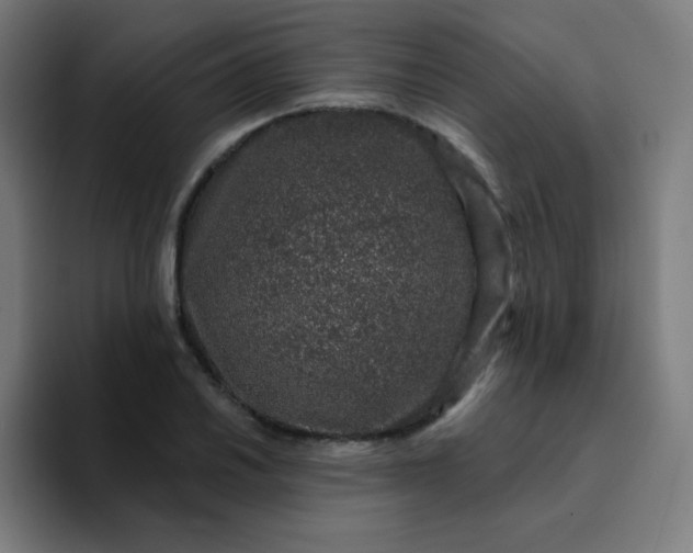 X0000094381030200711162126