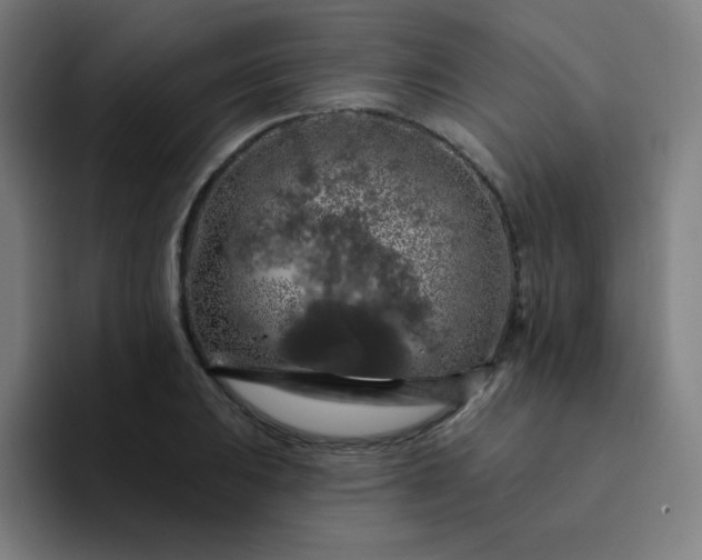 X0000094381031200711162126