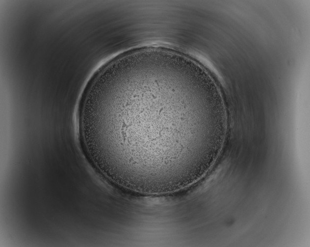 X0000094381032200711162126