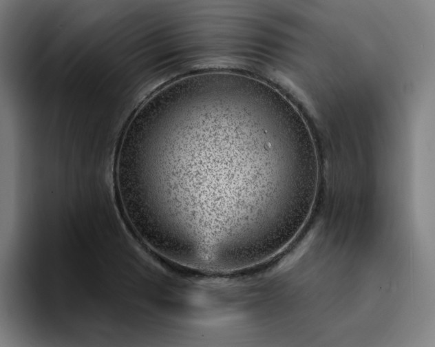 X0000094381033200711162126