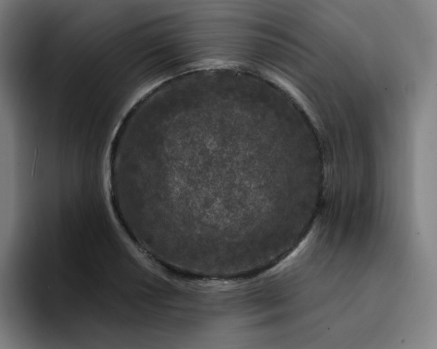 X0000094381034200711162126