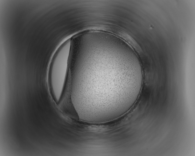 X0000094381036200711162126