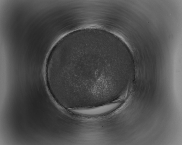 X0000094381038200711162126