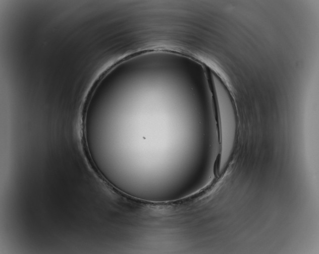 X0000094381040200711162126
