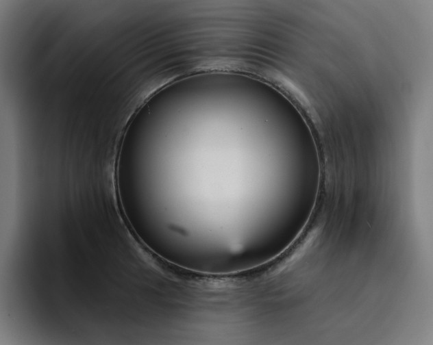 X0000094381041200711162127