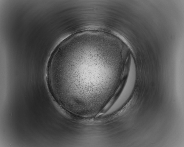 X0000094381042200711162127
