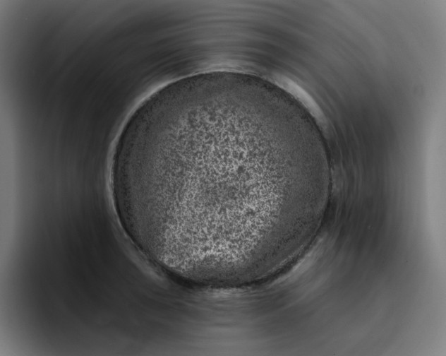 X0000094381043200711162127