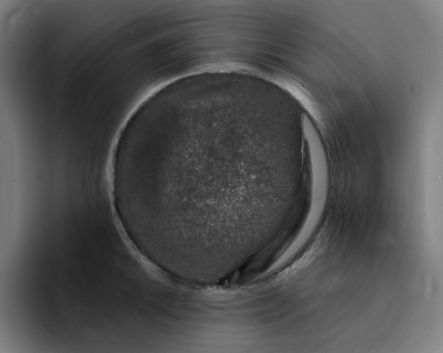 X0000094381046200711162127
