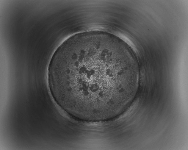 X0000094381047200711162127