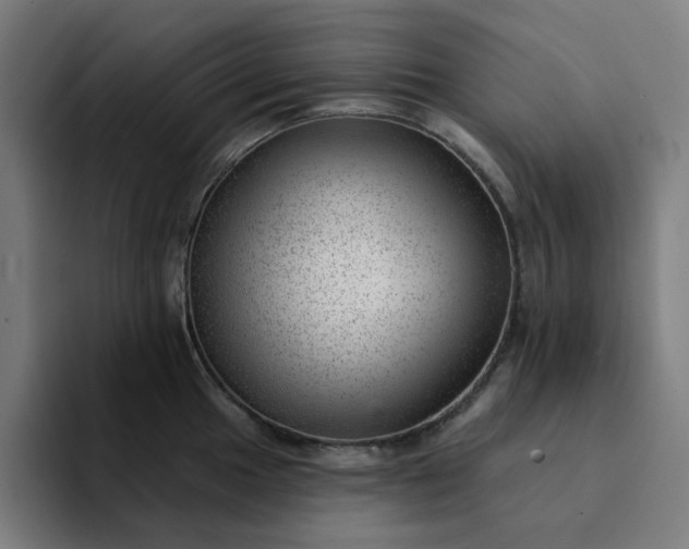 X0000094381049200711162127