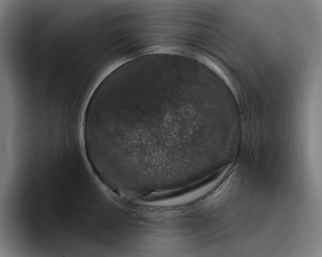 X0000094381050200711162127