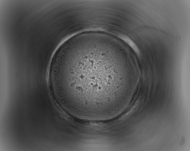 X0000094381052200711162127