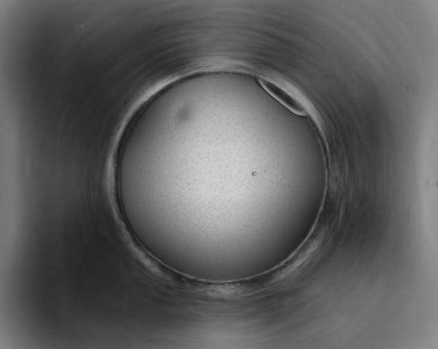 X0000094381053200711162127