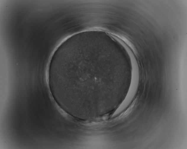 X0000094381054200711162127