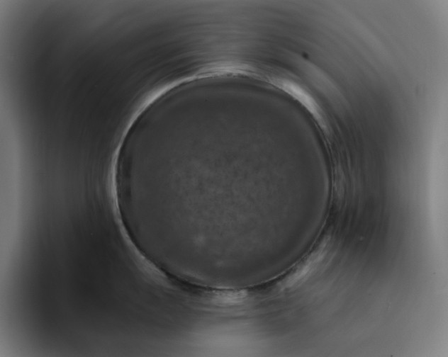 X0000094381055200711162127