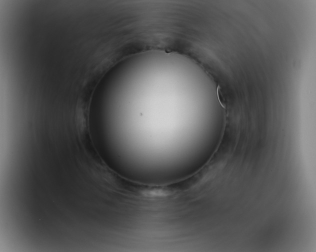 X0000094381058200711162126