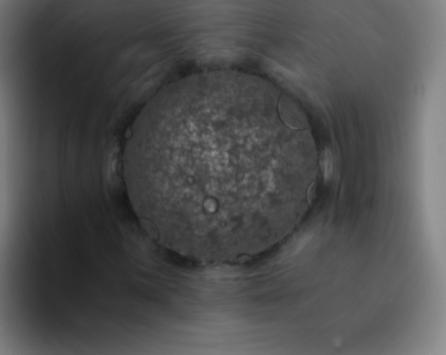 X0000094381059200711162126