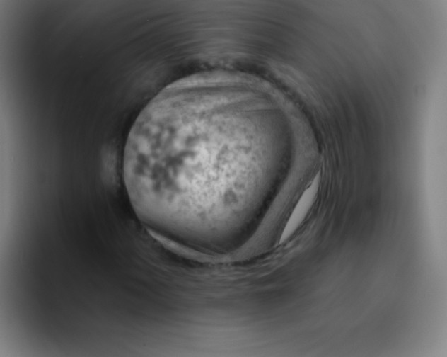 X0000094381060200711162126