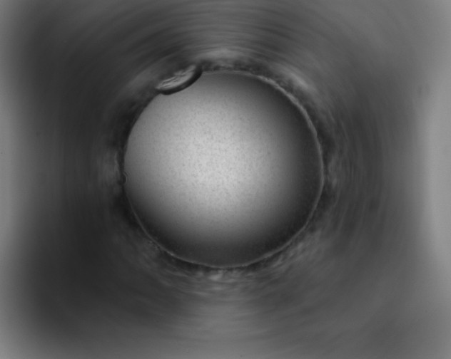 X0000094381062200711162126