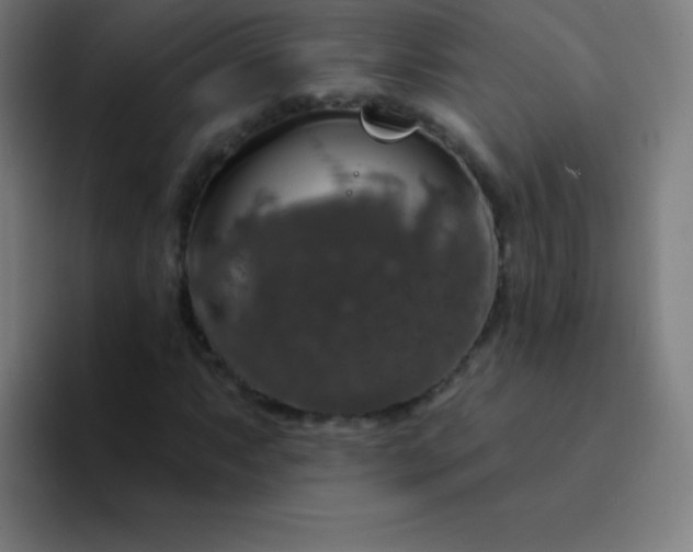 X0000094381063200711162126