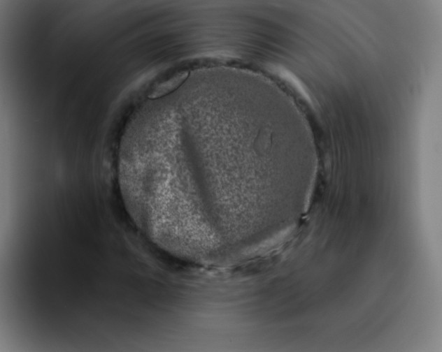 X0000094381064200711162126