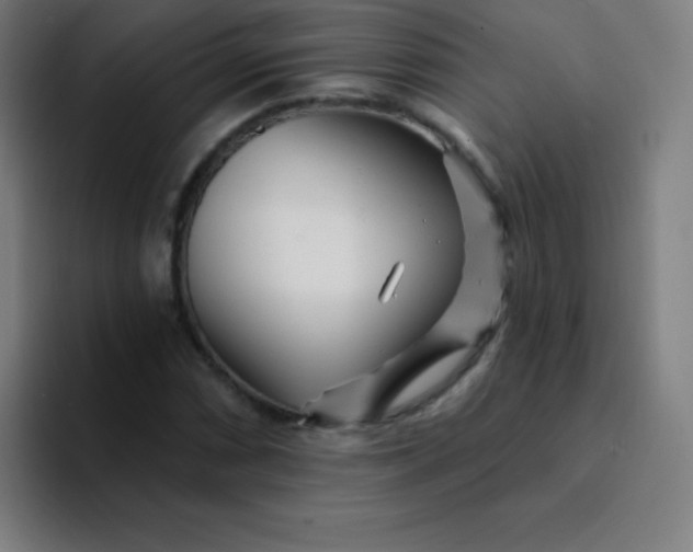 X0000094381066200711162126