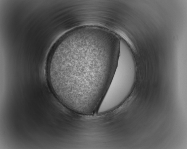 X0000094381068200711162126