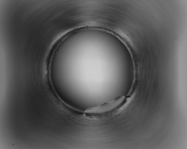 X0000094381070200711162126