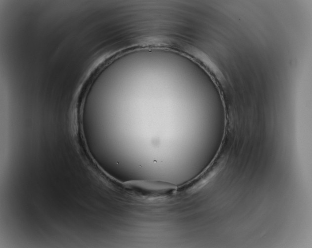 X0000094381075200711162126