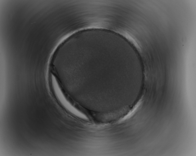 X0000094381077200711162126