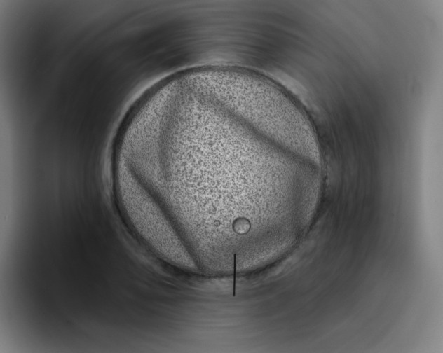 X0000094381078200711162126