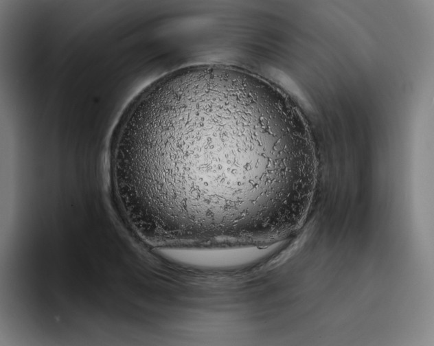 X0000094381079200711162126