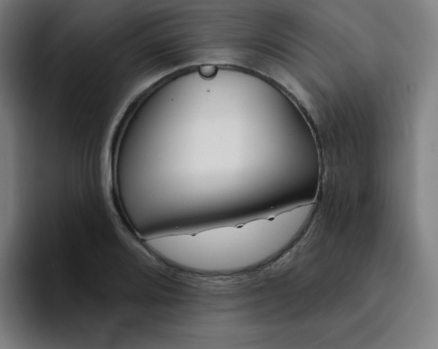 X0000094381080200711162126